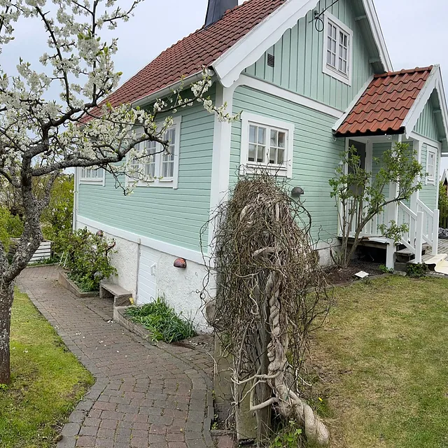 Ljusgrönt hus med trädgård